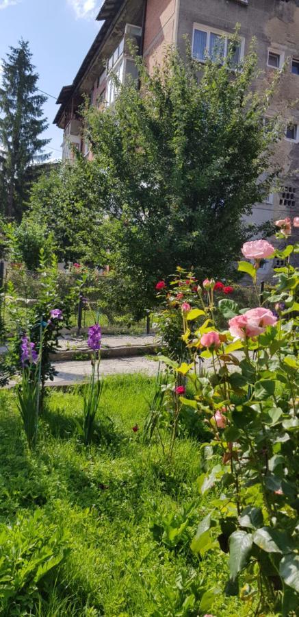 La Mihai Lupeni  Bagian luar foto